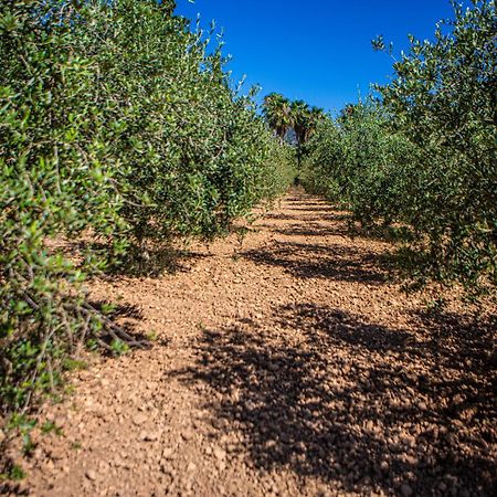 Son Ribes Villa Alaró Exteriör bild
