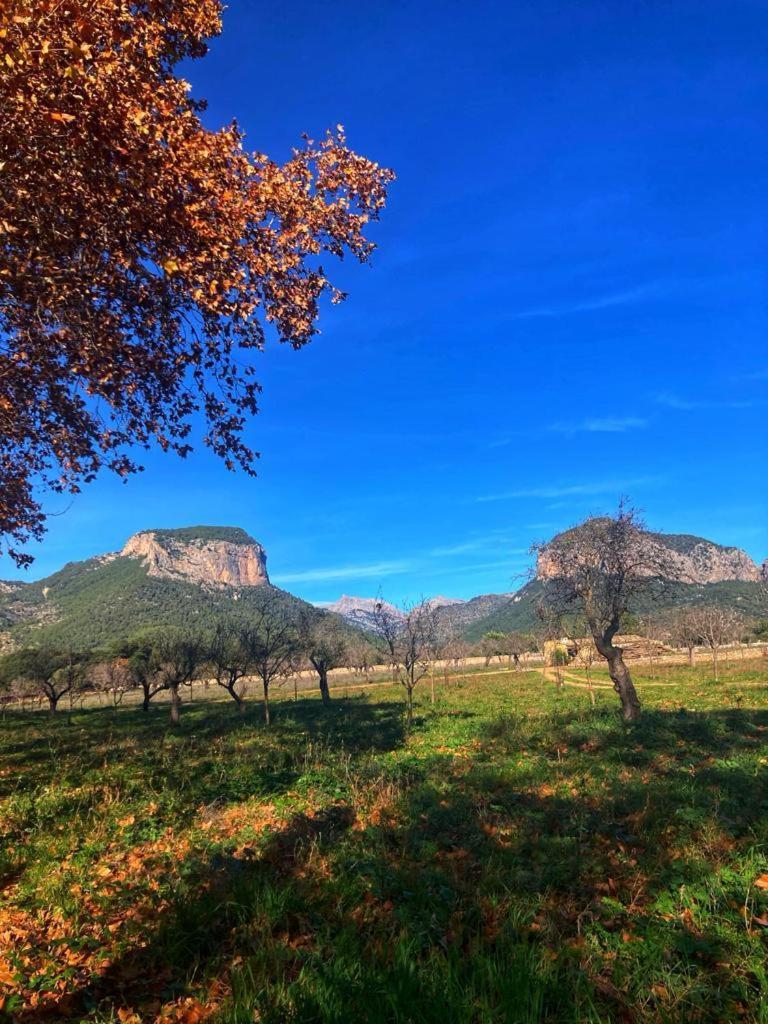 Son Ribes Villa Alaró Exteriör bild